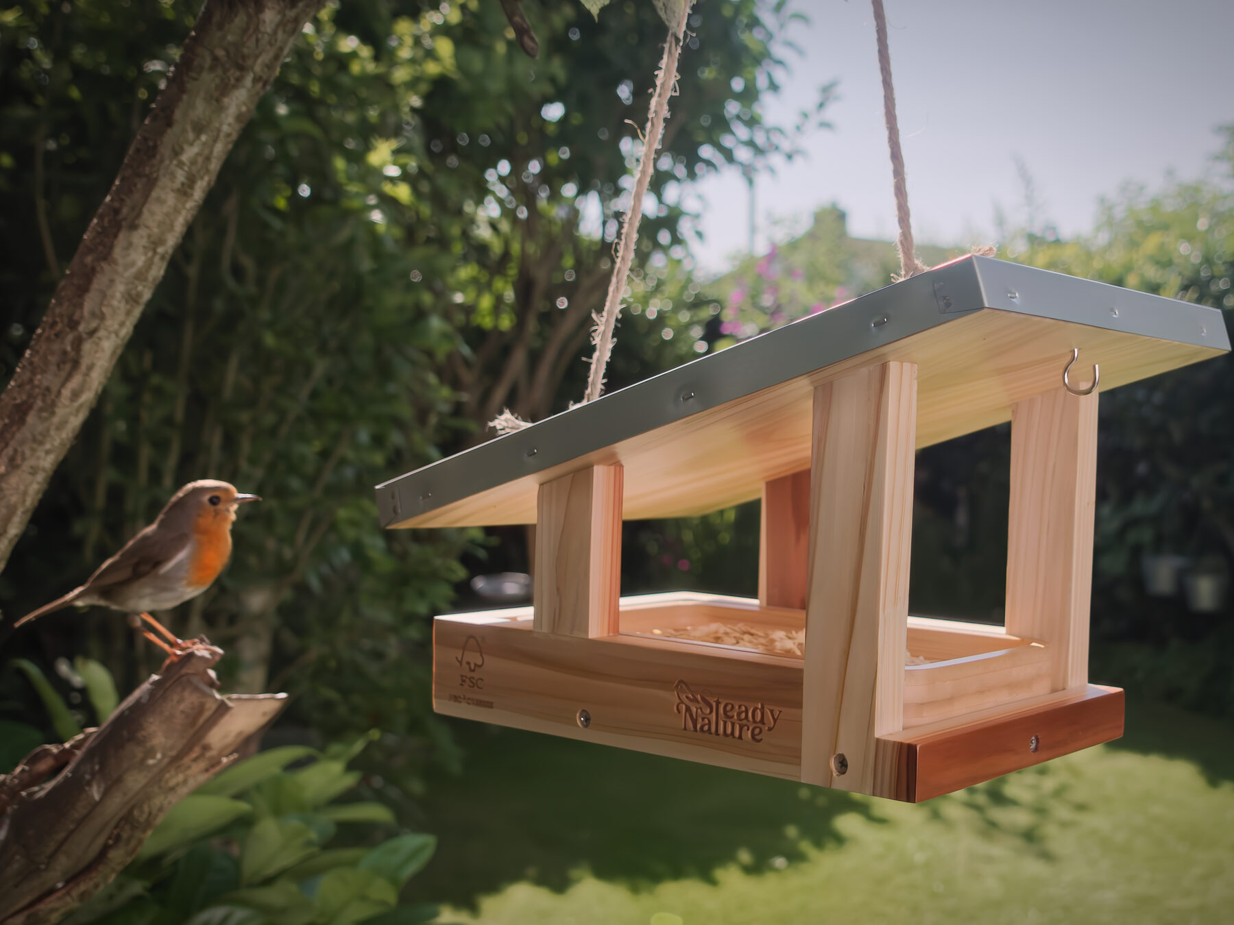 Rotkehlchen betrachtet ein hängendes Steady-Nature-Vogelfutterhaus im Garten