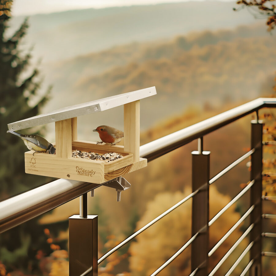 Vogelfutterhaus am Balkongeländer mit Rotkehlchen und Blaumeise