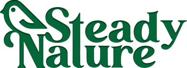Steady Nature